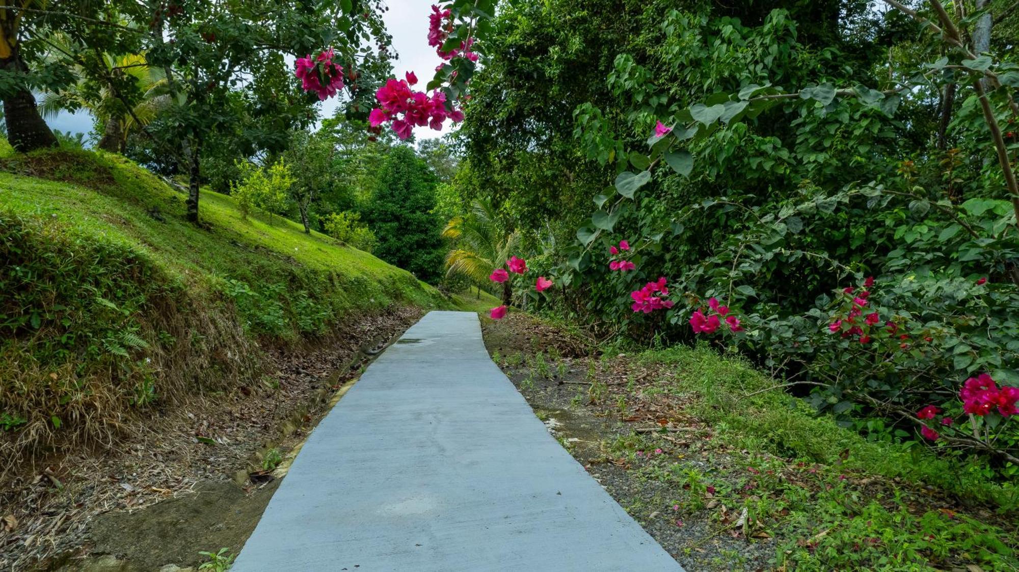 Serenity Rainforest Condos La Fortuna Dış mekan fotoğraf